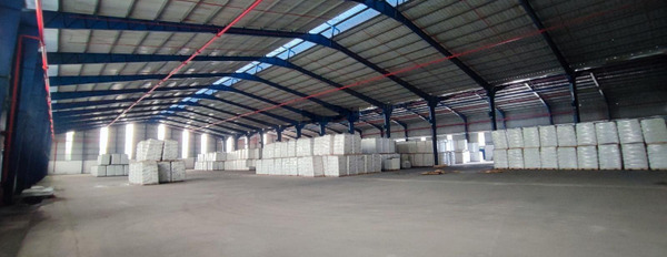Cần cho thuê gấp 3000m2 kho bãi nhà xưởng tại KCN Hải Sơn, Tỉnh Lộ 10, Trần Văn Giàu, PCCC đầy đủ -02