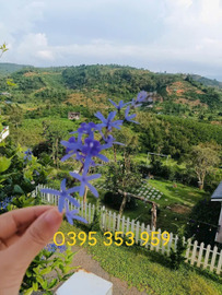 Bán căn hộ dịch vụ - homestay quận Hai Bà Trưng thành phố Hà Nội giá 1.999 tỷ