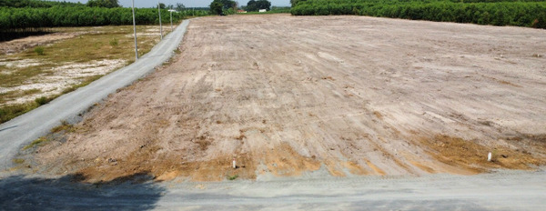 Cần bán lô đất nền sân bay Hồ Tràm sản phẩm mới cực hot và tiềm năng nhất khu vực Bà Rịa Vũng Tàu-02