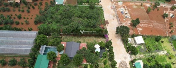 Bán biệt thự Có tổng diện tích 1490m2 vị trí nằm ngay Đà Lạt, Lâm Đồng bán ngay với giá mềm chỉ 13.8 triệu-03