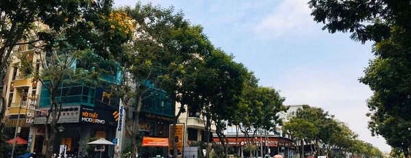 Chuyên mua bán nhà phố Hưng Gia, Hưng Phước, Quận 7, Hồ Chí Minh. Giá 216 triệu/m2, đến 300 triệu/m2-03