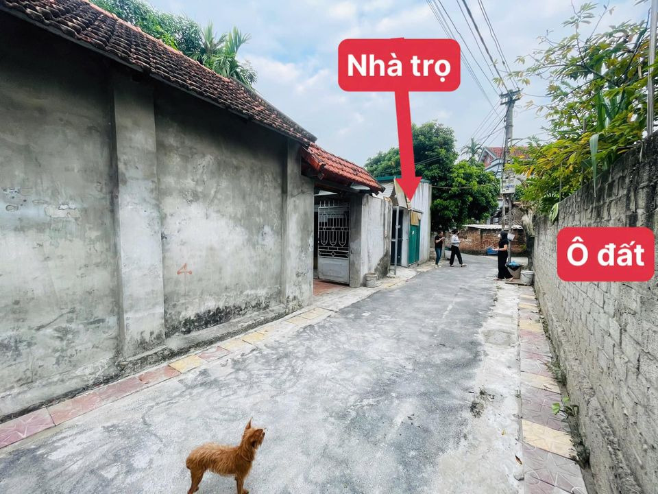 Bán nhà riêng huyện Bình Xuyên tỉnh Vĩnh Phúc giá 1.4 tỷ-2