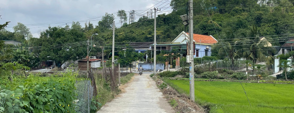 Bán đất phường Ninh Giang - Ninh Hoà - Nam Vân Phong ngang 10m giá chỉ 520 triệu-02