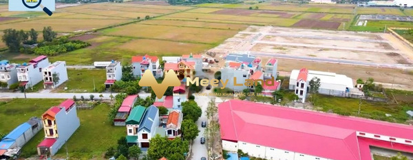 Chuyển công tác bán mảnh đất, 92.5 m2 giá bán tốt nhất chỉ 1.6 tỷ mặt tiền nằm tại Xã Dị Chế, Tỉnh Hưng Yên nói không với trung gian-03