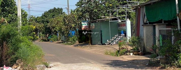 Ở Vĩnh Tân, Đồng Nai bán đất 200 triệu diện tích tổng 1000m2-02