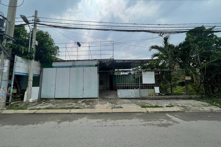 Cho thuê nhà kho 300m2, có nhà 2PN1 vệ sinh tại đường 970 phường Phú Hữu quận 9 giá 12 triệu -01