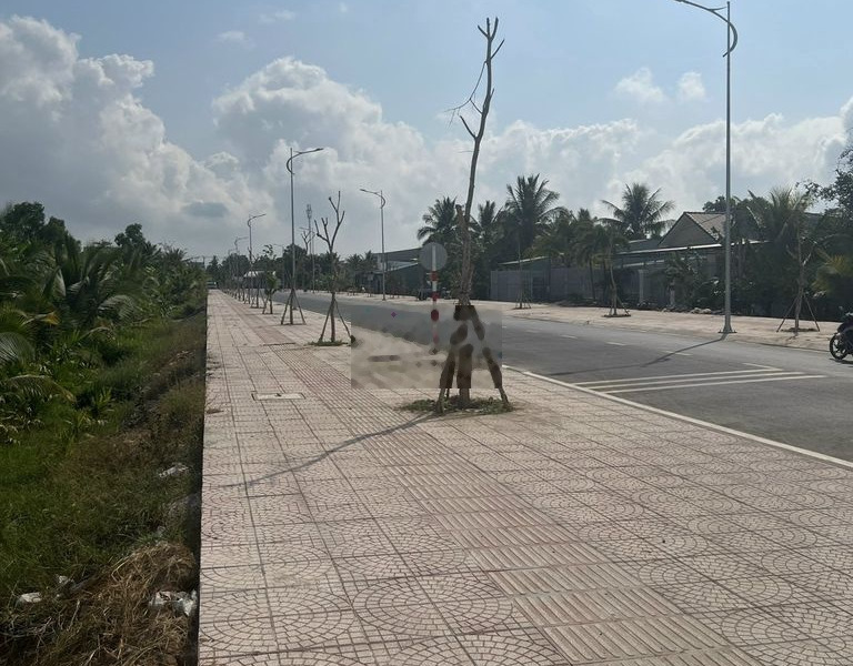 ĐẤT TẠI Đường D1 Quốc lộ 53 vào 200m , Xã Long Phước,Long Hồ,Vĩnh Long -01