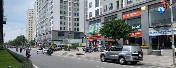 Bán shophouse Ecohome 3 vị trí mặt tiền ngay Tân Xuân, Hà Nội liên hệ chính chủ-03