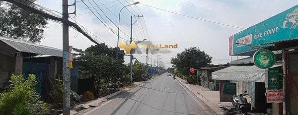 950 triệu bán đất dt quy đổi 100m2 vị trí đặt ở trong Đường Tân Long, Hồ Chí Minh-03