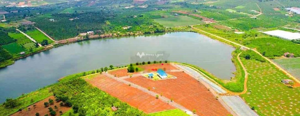 1.45 tỷ bán đất có diện tích tổng 423m2 vị trí ngay Phúc Thọ, Lâm Đồng-03