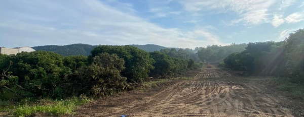 Đất nền giá 1,2 triệu/m2 gần sân golf Đông Triều, Quảng Ninh-03