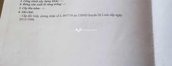 Giá 8 tỷ bán đất diện tích chính là 2800m2 vị trí nằm ngay Di Linh, Lâm Đồng, hướng Tây - Nam-03