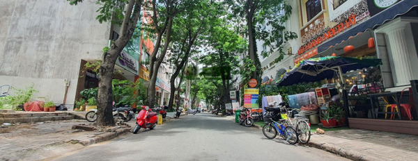 Vị trí nằm ở Quận 7, Hồ Chí Minh, cho thuê nhà, giá thuê êm chỉ 66 triệu/tháng diện tích tiêu chuẩn 126m2 nhà phong thủy tốt-03