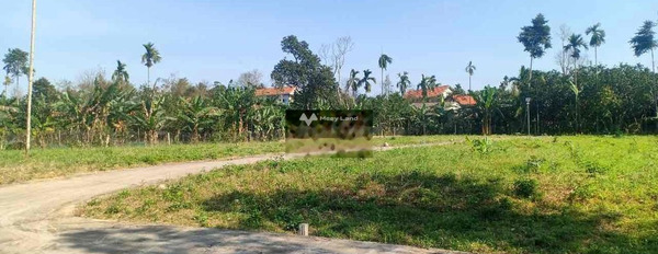 Giá bán mua liền 900 triệu, Bán đất có diện tích rộng 87m2 vị trí thuận lợi tọa lạc ngay ở Hương Trà, Thừa Thiên Huế giá hợp lý-02