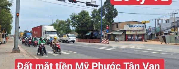  Đất mặt tiền đường Mỹ Phước Tân Vạn, P. Tân Bình , TP. Dĩ An -03