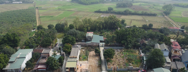 Bán nhanh 264m2 đất gần khu công nghiệp Nhuận Trạch tại Lương Sơn, Hòa Bình-03