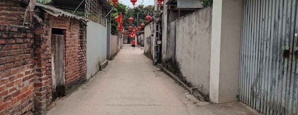 Cần bán đất huyện Phú Xuyên, thành phố Hà Nội giá 600 triệu-02