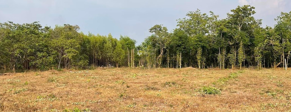 Vị trí mặt tiền tọa lạc gần Vĩnh An, Đồng Nai bán đất, giá bán liền từ 699 triệu, hướng Tây - Nam có một diện tích là 495m2-03