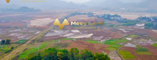 Cần bán đất tại Yên Trung, Thạch Thất, Hà Nội. Diện tích 1200m2, giá 4,8 tỷ-02