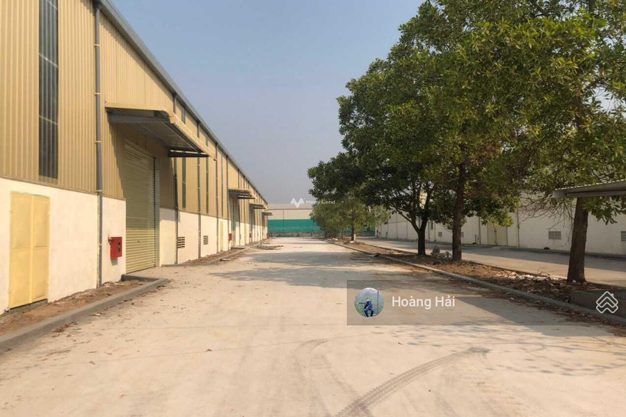 Rất gấp cho thuê kho bãi diện tích chung là 3000m2 vị trí cực kì thuận lợi ngay tại Chỉ Đạo, Văn Lâm cảm ơn đã xem tin-01