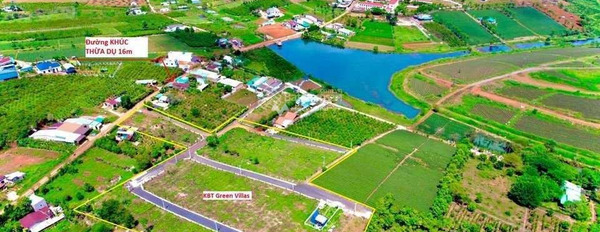 Ngay Tân Hội, Lâm Đồng bán đất giá bán chốt nhanh chỉ 12 tỷ có một diện tích 3214.9m2-02