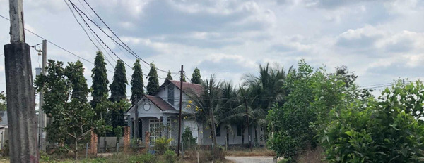 Ở Xuân Lộc, Đồng Nai bán đất 720 triệu với diện tích rộng 220m2-02