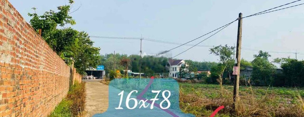 390 triệu bán đất diện tích quy ước 1248m2 mặt tiền tọa lạc ngay Minh Lập, Chơn Thành-03