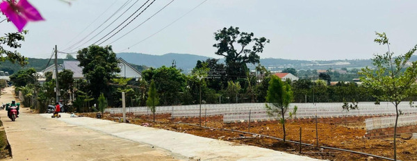 Từ 830 triệu bán đất với diện tích rộng 264m2 vị trí thuận lợi ở Mê Linh, Lâm Đồng-03