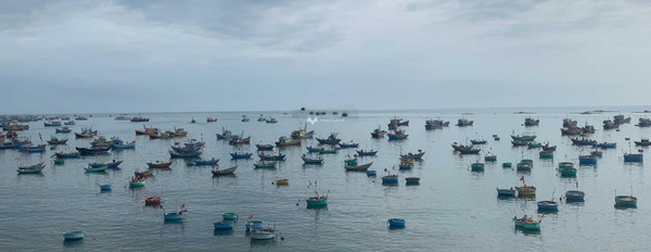 Phan Thiết, Bình Thuận 30 tỷ bán đất diện tích rộng là 1000m2-03