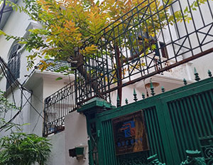 Chính chủ cần bán căn nhà thiết kế kiểu biệt thự tại ngõ 211 đường Bạch Đằng, quận Hoàn Kiếm-03