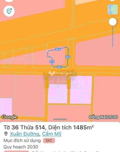 Bán đất diện tích 1485m2 Xuân Đường, Đồng Nai-01