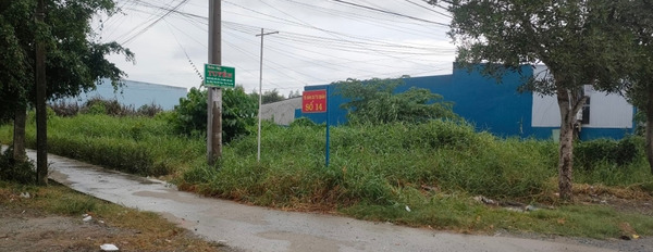 Chuyển nhượng quyền sử dụng đất tại khóm 6, phường 1, thành phố Cà Mau-03