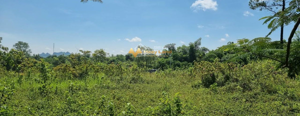 Giá cực tốt từ 2.2 tỷ, Bán đất dt tầm trung 1100 m2 ngay tại Lương Sơn, Hòa Bình pháp lý nhanh-03