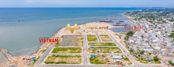 Tọa lạc tại La Gi, Bình Thuận bán đất, giá 2,8 tỷ có diện tích tổng 80m2-03