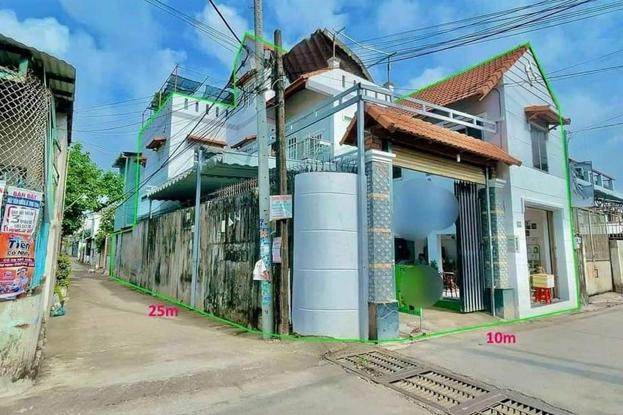 Cần bán biệt thự huyện Nhơn Trạch, tỉnh Đồng Nai giá 10,7 tỷ-01