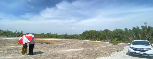 Vị trí mặt tiền ngay trên Nhơn Trạch, Đồng Nai bán đất, giá thỏa thuận từ 1.7 tỷ có diện tích là 1000m2-02