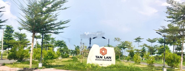 Bán đất 750 triệu Cần Đước, Long An diện tích cụ thể 64m2-03