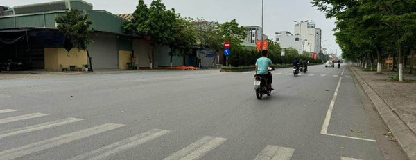 Mua bán đất thị xã Từ Sơn, Bắc Ninh giá 5 tỷ-03