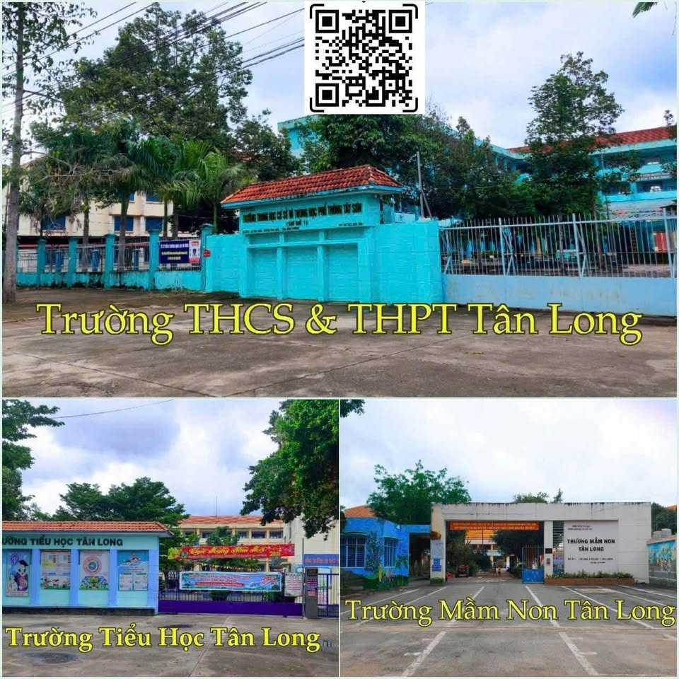 Bán đất quận 5 thành phố Hồ Chí Minh giá 320.0 triệu-3