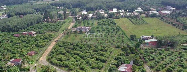Lộc Ninh, Dương Minh Châu bán đất giá rẻ bất ngờ chỉ 2 tỷ diện tích chung là 712m2-02