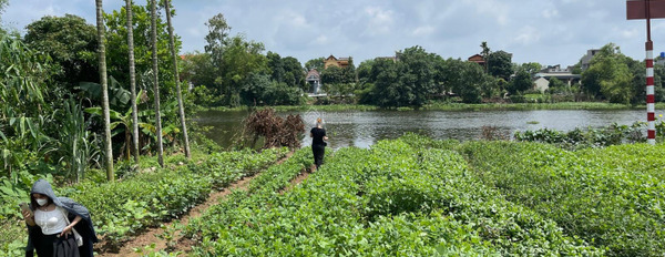 Mặt tiền nằm ngay tại Tân Quang, Ninh Giang bán đất, giá bán ưu đãi 770 triệu, hướng Nam với diện tích chuẩn 134m2-03