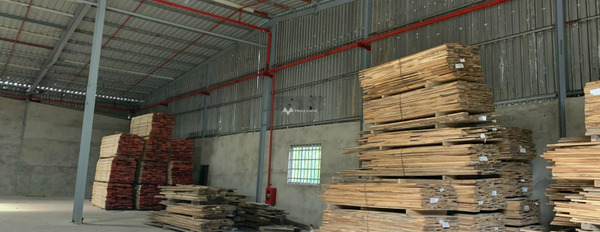 Nợ ngân hàng cho thuê kho bãi diện tích trong khoảng 1500m2 tọa lạc ngay Cây Xoài, Đồng Nai khuôn viên rộng rãi-03