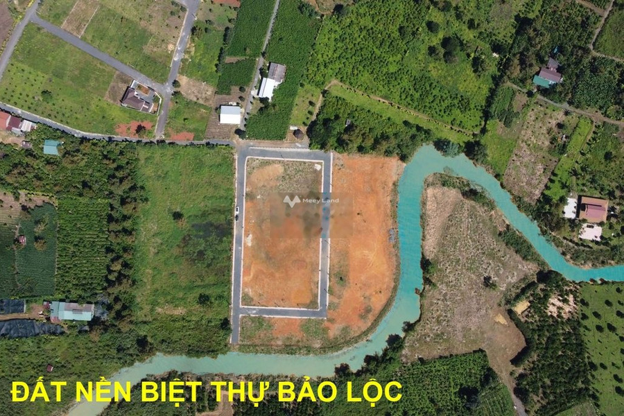 Bán đất 5 tỷ Bảo Lộc, Lâm Đồng có diện tích chung là 250m2-01