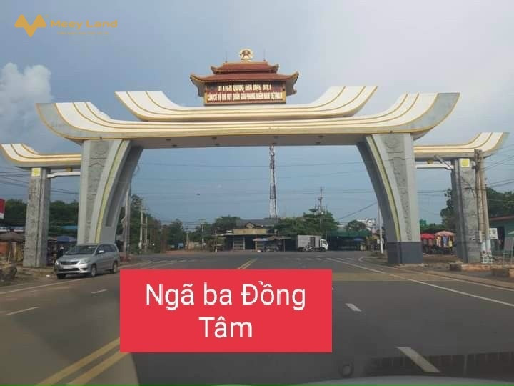 Bán gấp đất thổ cư Lộc Khánh, Lộc Ninh, Bình Phước-01
