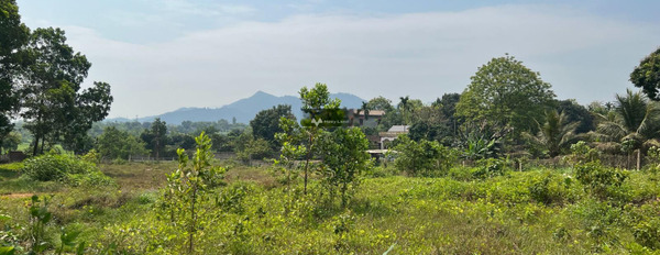 Giá hợp lý từ 42.9 tỷ bán đất có diện tích thực là 13000m2 vị trí mặt tiền tọa lạc ngay ở Yên Bài, Hà Nội-03