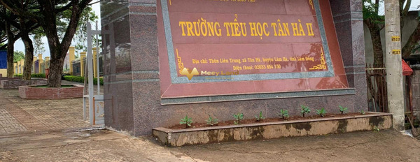 Bán đất 1038m2 tọa lạc ngay ở Đường ĐT 725, xã Tân Hà gặp để trao đổi-03