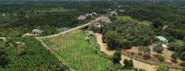 Tại Bảo Lâm, Lâm Đồng bán đất 9.5 tỷ có diện tích chung là 6m2-03