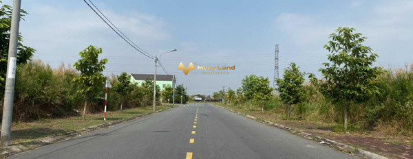 Bán đất diện tích 100m2, giá 2,2 tỷ tại Xã Long Hậu, Tỉnh Long An-03