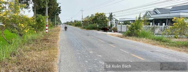 Chính chủ bán gấp 115m2 đất mặt tiền Quang Trung, Tân Thành, Cà Mau. Gần bệnh viện MEDIC Cà Mau -03