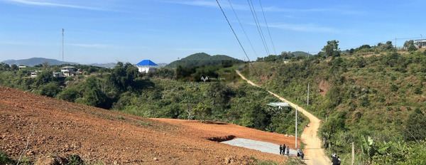 Bán đất 950 triệu Lâm Hà, Lâm Đồng diện tích mặt tiền 500m2-03